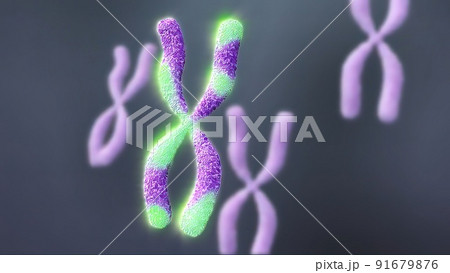 The genetic structure of 3D illustration 91679876