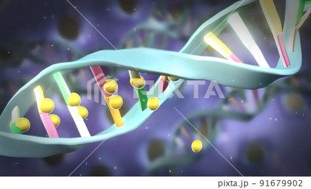 Drugs attack the DNA helix Drugs attack the DNA helix 91679902