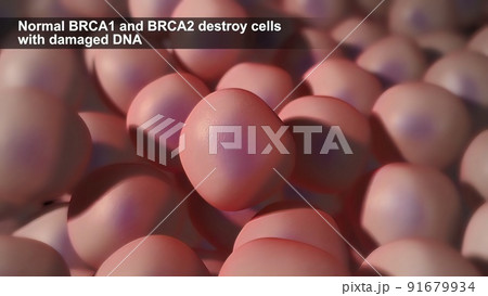 Defects due to DNA damage lead to tumor and cancer formation and death of healthy cells. Defects due to DNA damage lead to tumor and cancer formation and death of healthy cells. 91679934