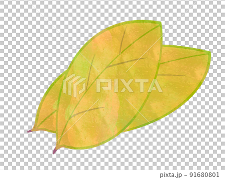Illustration of autumn leaves with yellow autumn leaves Illustration of autumn leaves with yellow autumn leaves 91680801