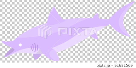 埃德斯圖斯 埃德斯圖斯 91681509