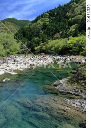 堀ヶ生沈下橋から奈半利川を眺める 春 (高知県 北川村) 堀ヶ生沈下橋から奈半利川を眺める 春 (高知県 北川村) 91681520