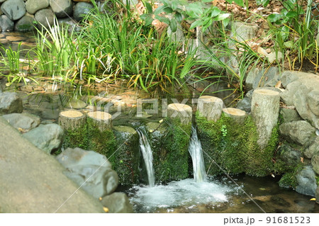 国分寺市真姿の池湧水群 国分寺市真姿の池湧水群 91681523