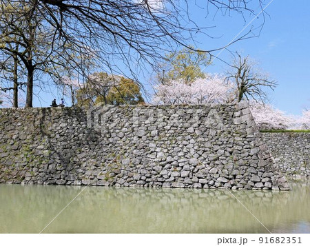 春の八代城跡　石垣と桜　（熊本県八代市） 91682351