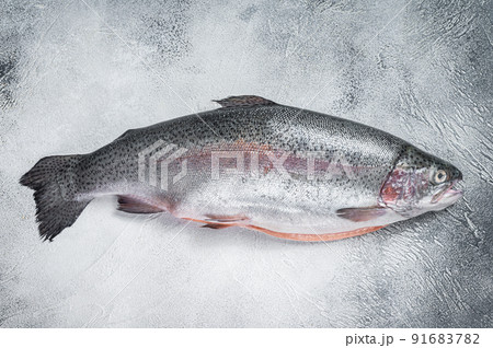 Raw trout silver fish on a kitchen table. Gray...の写真素材