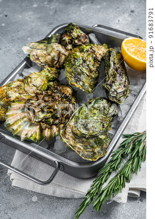Fresh closed oysters, raw seafood with lemon and ice in steel tray. Gray background. Top view 91683791