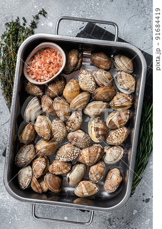 Raw shells Clams vongole in a steel tray. Gray background. Top view 91684419