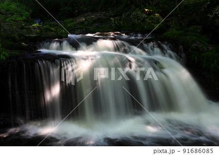 岩手県一関市 夏の小黒滝 岩手県一関市 夏の小黒滝 91686085