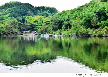 京都市 宝が池公園の宝ヶ池と新緑 京都市 宝が池公園の宝ヶ池と新緑 91686428