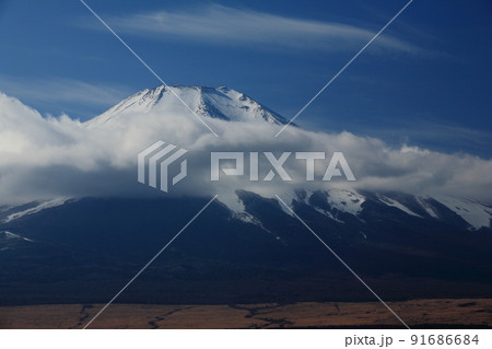 山中湖　長池親水公園からの富士山 91686684