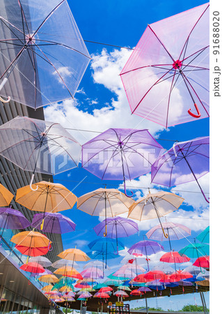 道の駅パレットピアおおの、アンブレラスカイ〈岐阜県揖斐郡〉 91688020