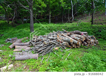 【長野県下高井郡】志賀高原にある炭焼き小屋の材木 91688042
