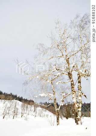 雪原イメージ（新潟県） 91688102