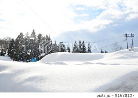 雪原イメージ(新潟県) 雪原イメージ(新潟県) 91688107