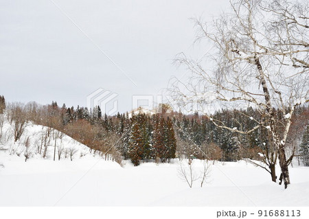 雪原イメージ（新潟県） 91688113