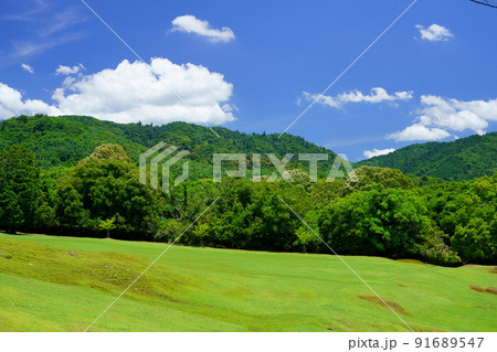 梅雨明けの日・爽やかな奈良公園・飛火野・春日山原始林 梅雨明けの日・爽やかな奈良公園・飛火野・春日山原始林 91689547
