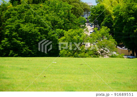 奈良公園飛火野の丘から高畑方面 91689551