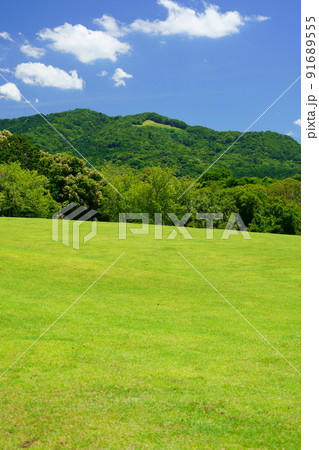 梅雨明けの日・爽やかな奈良公園・飛火野から大文字 91689555