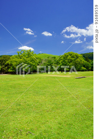 梅雨明けの日・爽やかな奈良公園・飛火野・オオクスと若草山 梅雨明けの日・爽やかな奈良公園・飛火野・オオクスと若草山 91689559