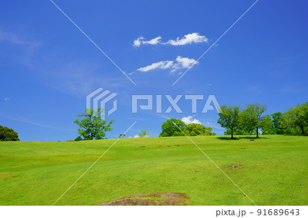 梅雨明けの日・爽やかな奈良公園・飛火野 梅雨明けの日・爽やかな奈良公園・飛火野 91689643