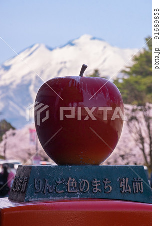 岩木山、満開の桜、りんご 青森県弘前市 岩木山、満開の桜、りんご 青森県弘前市 91689853