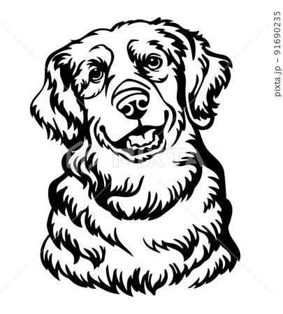 Golden Retriever dog vector black contour portrait 91690235