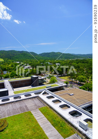 奈良県庁から梅雨明けの奈良公園 奈良県庁から梅雨明けの奈良公園 91690239