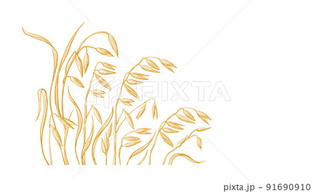 Golden oats. Gathering grains on the field. Sketch 91690910