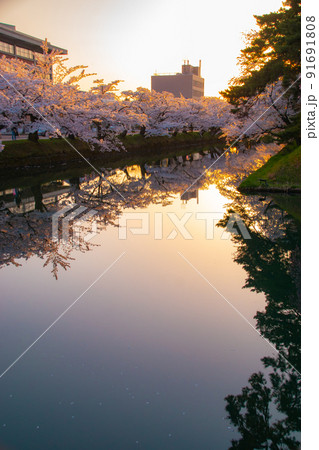 夕暮れの弘前公園外濠 青森県弘前市 夕暮れの弘前公園外濠 青森県弘前市 91691808