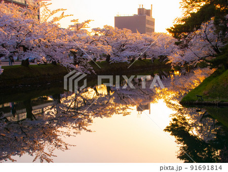 夕暮れの弘前公園外濠 青森県弘前市 夕暮れの弘前公園外濠 青森県弘前市 91691814