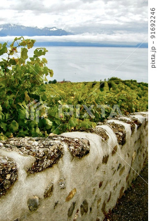 スイス　ラヴォー地区 91692246