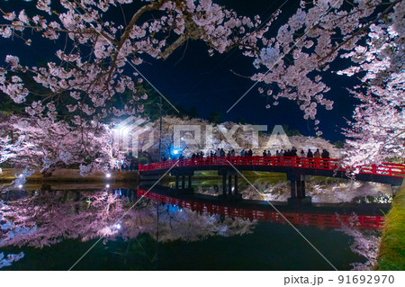 夜桜リフレクション 弘前公園西濠春陽橋 青森県弘前市 夜桜リフレクション 弘前公園西濠春陽橋 青森県弘前市 91692970