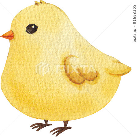 Chicken farm and food icon watercolor png Chicken farm and food icon watercolor png 91693305