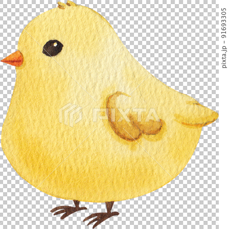 Chicken farm and food icon watercolor png Chicken farm and food icon watercolor png 91693305