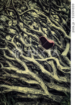 Love balloon stuck on tree branches. Soft focus for book cover. Love balloon stuck on tree branches. Soft focus for book cover. 91694899