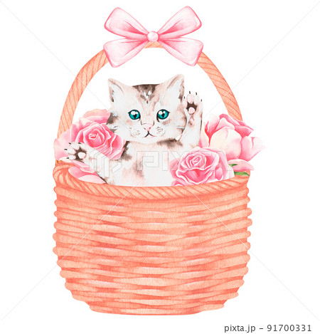 A kitten in a basket with roses. Watercolor illustration. Isolated on a white background. For design 91700331