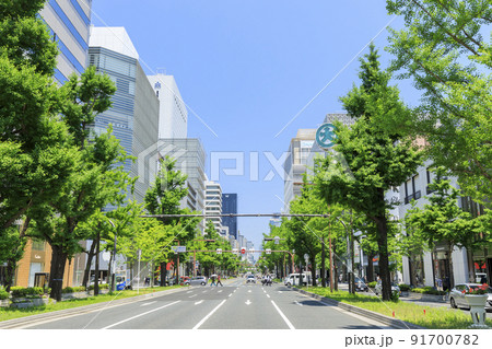 大阪市中央区心斎橋　初夏の御堂筋 91700782