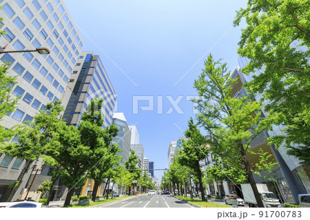 大阪市中央区心斎橋 初夏の御堂筋 大阪市中央区心斎橋 初夏の御堂筋 91700783