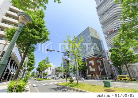 大阪市中央区心斎橋 初夏の御堂筋 大阪市中央区心斎橋 初夏の御堂筋 91700785
