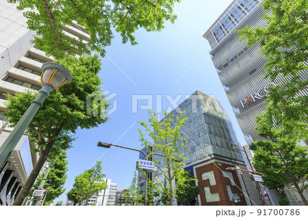 大阪市中央区心斎橋　初夏の御堂筋 91700786