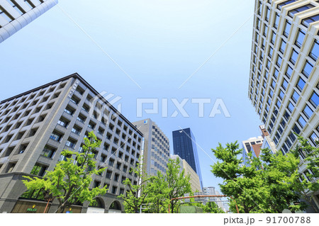 大阪市中央区南船場　初夏の御堂筋 91700788
