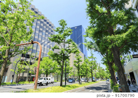 大阪市中央区南船場　初夏の御堂筋 91700790