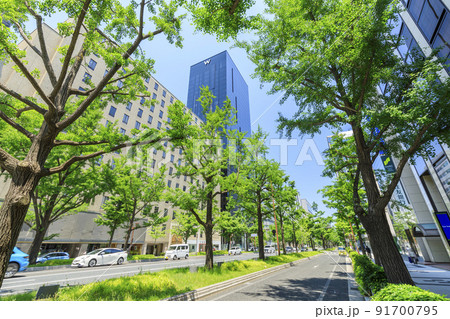 大阪市中央区南船場　初夏の御堂筋 91700795