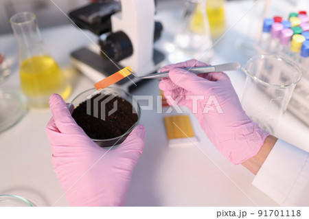 Laboratory analysis of soil. Scientist measures pH of soil sample with litmus strips 91701118