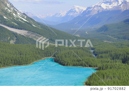 Peyto lake under the ice. Banff National park. Peyto lake under the ice. Banff National park. 91702882