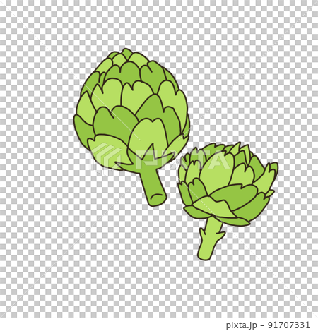 アーティチョーク アーティチョーク 91707331