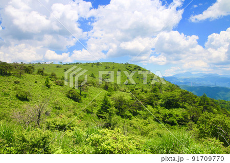 高ボッチ高原(長野県・岡谷市、塩尻市) 高ボッチ高原(長野県・岡谷市、塩尻市) 91709770