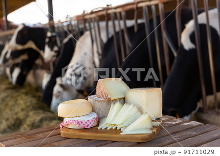 Various natural cheeses on wooden table in outdoor cowshed 91711029