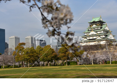 日本の大阪府 春の大阪城公園 満開の桜と立派な天守閣 周辺の街並みと高層ビル 日本の大阪府 春の大阪城公園 満開の桜と立派な天守閣 周辺の街並みと高層ビル 91712647