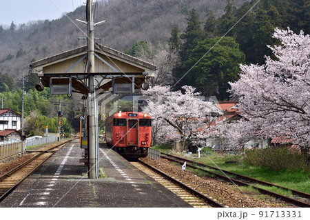 桜満開の芸備線志和地駅 91713331
